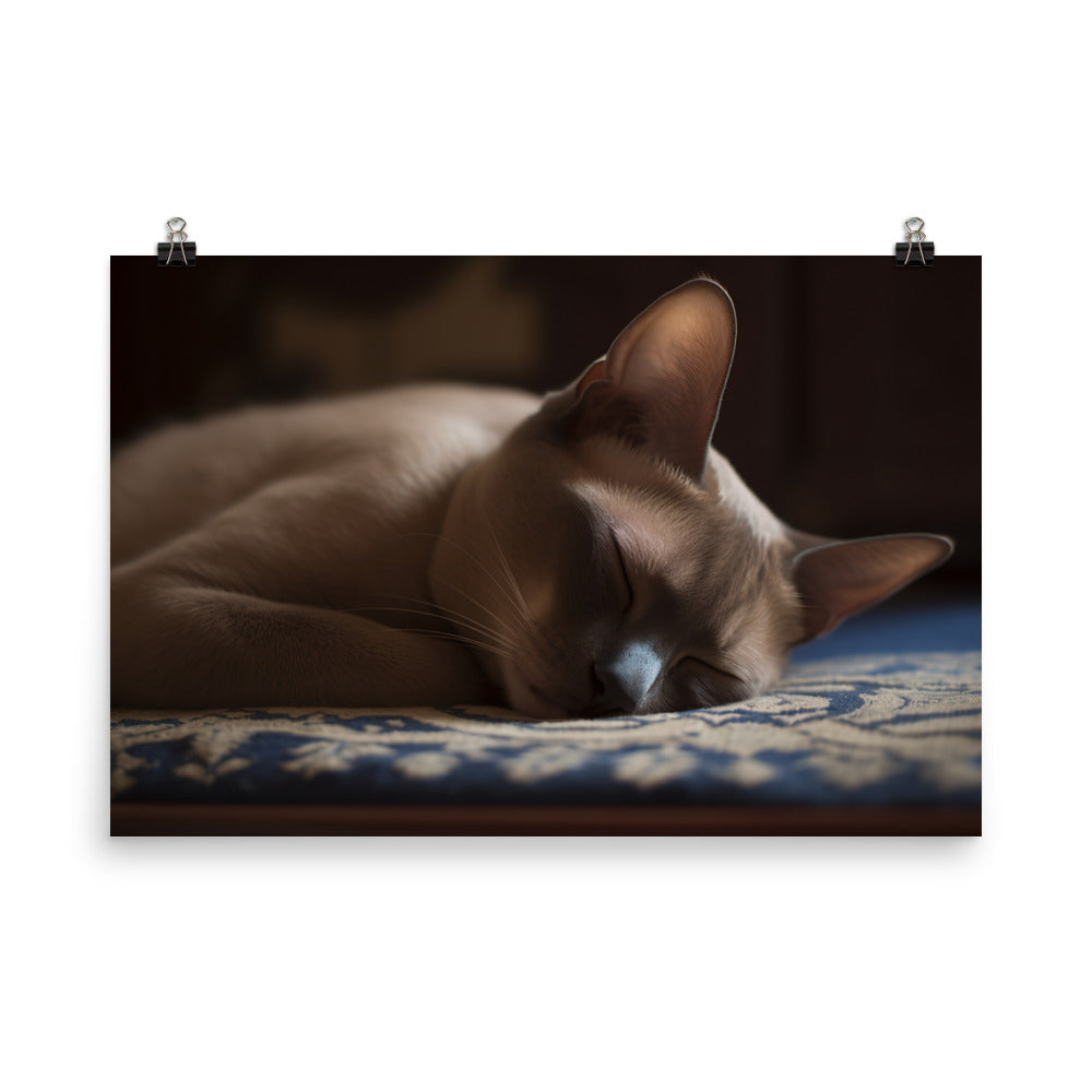 Sleeping Burmese Beauty photo paper poster - Posterfy.AI