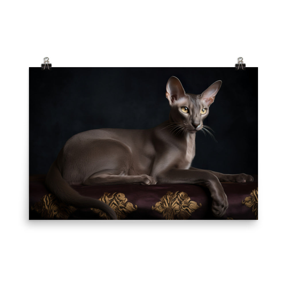 Majestic Oriental Shorthair on Velvet photo paper poster - Posterfy.AI