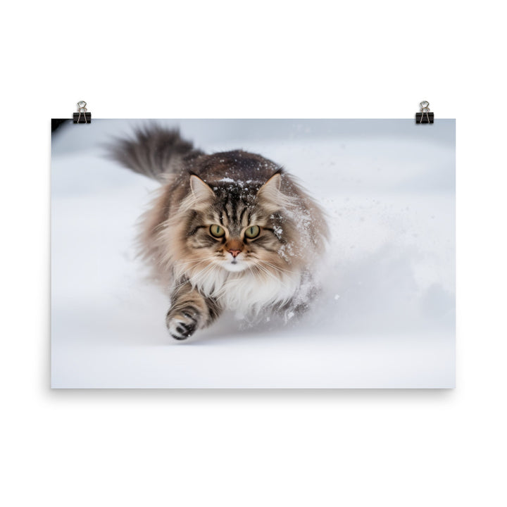 Norwegian Forest Cat Playing in the Snow photo paper poster - Posterfy.AI