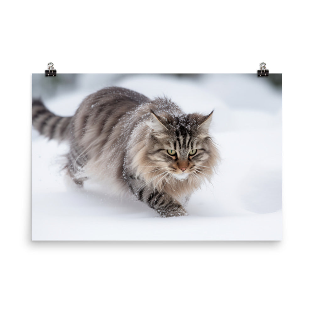 Norwegian Forest Cat Playing in the Snow photo paper poster - Posterfy.AI