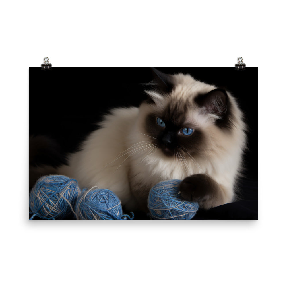 Himalayan cat playing with a ball of yarn photo paper poster - Posterfy.AI