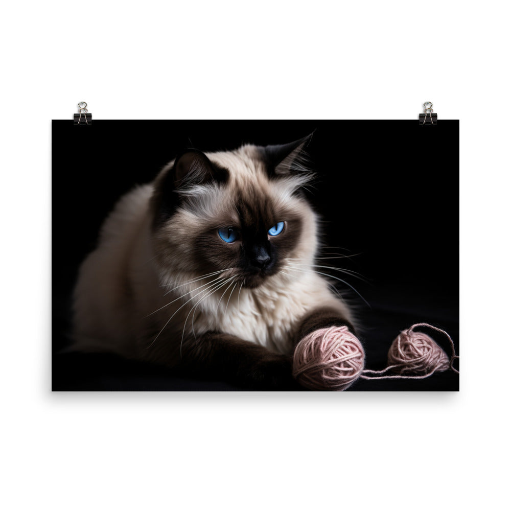 Himalayan cat playing with a ball of yarn photo paper poster - Posterfy.AI