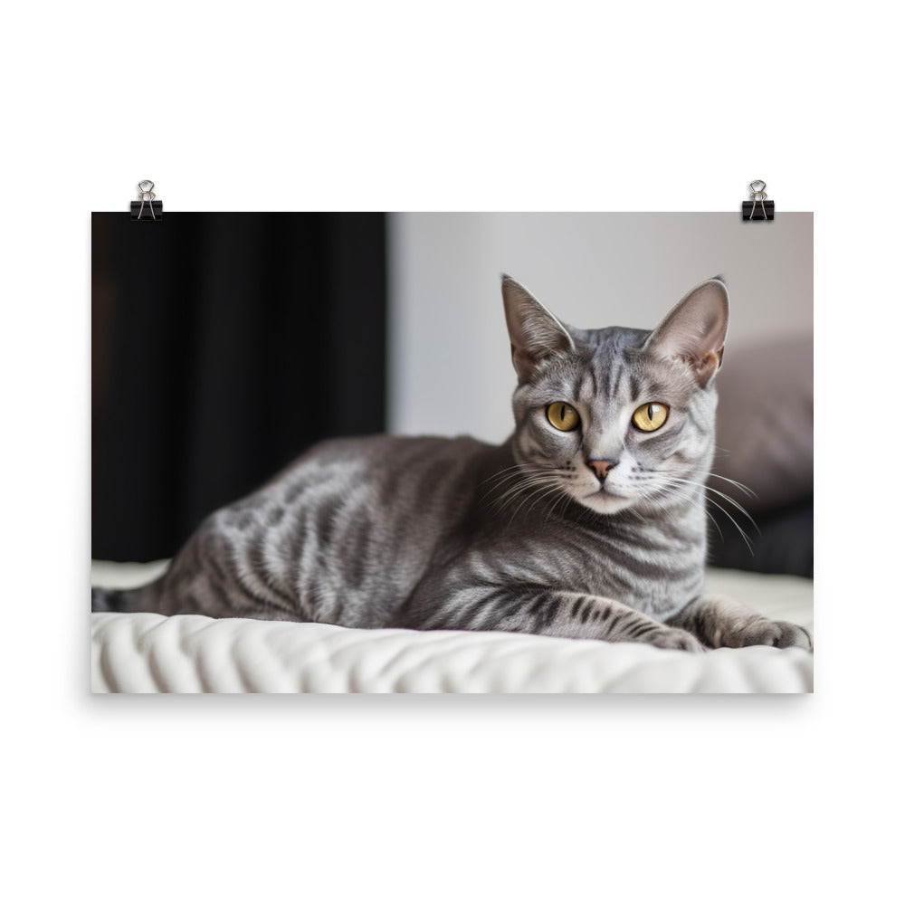 Egyptian Mau lounging photo paper poster - Posterfy.AI