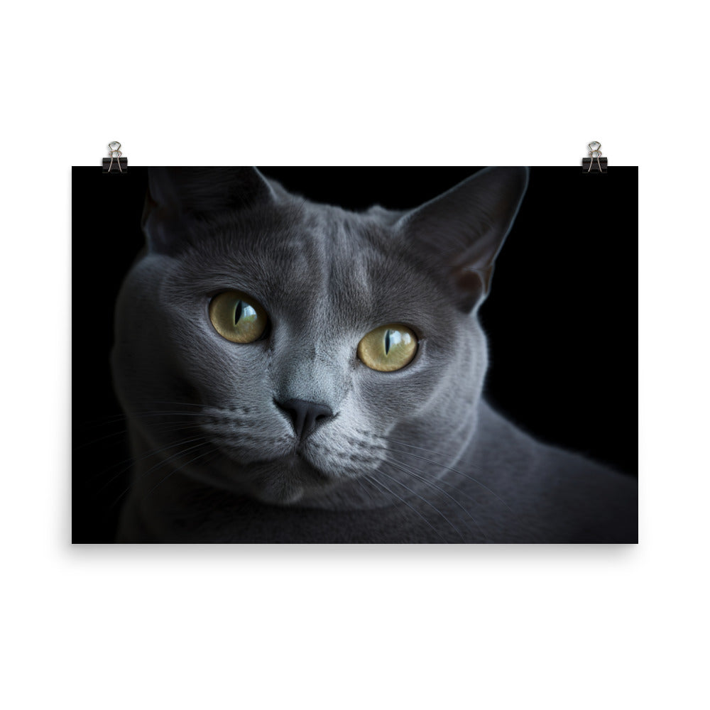 Russian Blue Royalty photo paper poster - Posterfy.AI