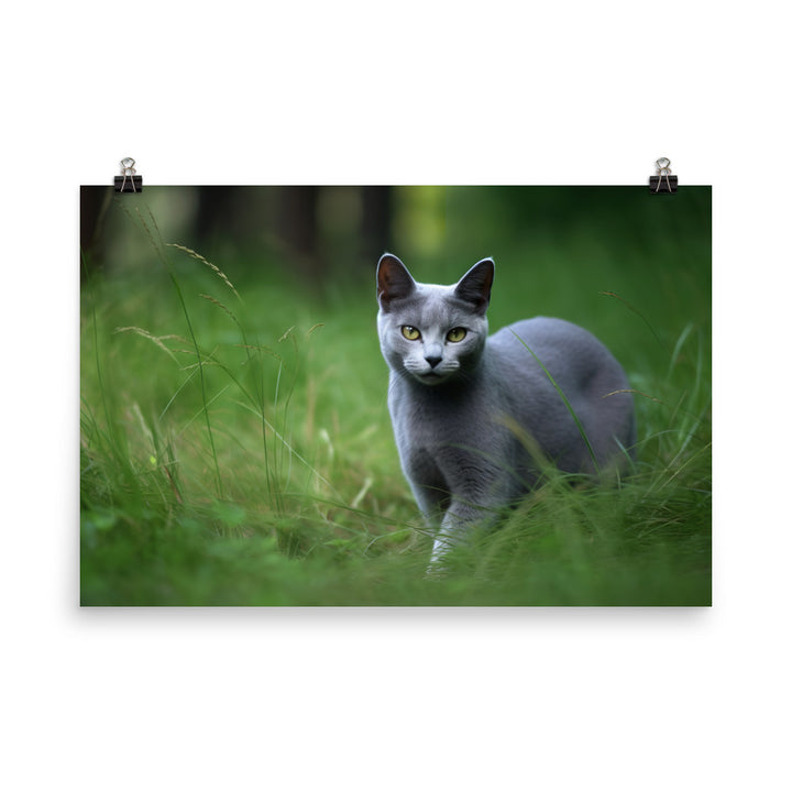 Russian Blue in Natures Playground photo paper poster - Posterfy.AI