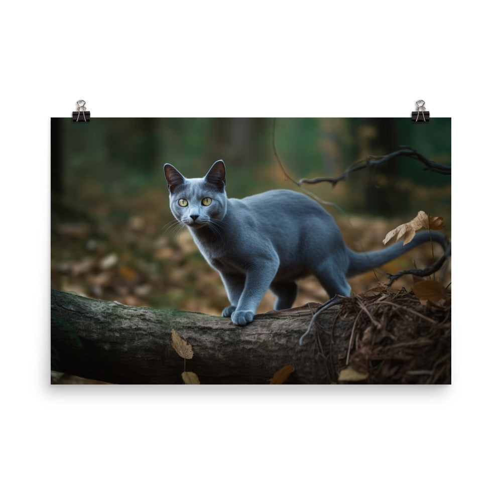 Russian Blue in Natures Playground photo paper poster - Posterfy.AI