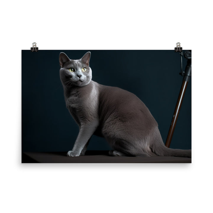 Russian Blue Elegance photo paper poster - Posterfy.AI