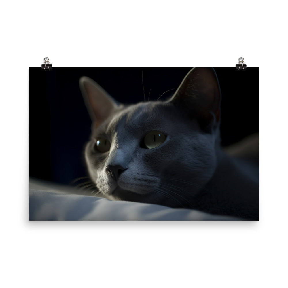 Dreamy Nights with Russian Blue photo paper poster - Posterfy.AI