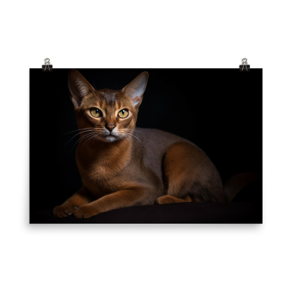 Adorable Abyssinian posing for the camera photo paper poster - Posterfy.AI