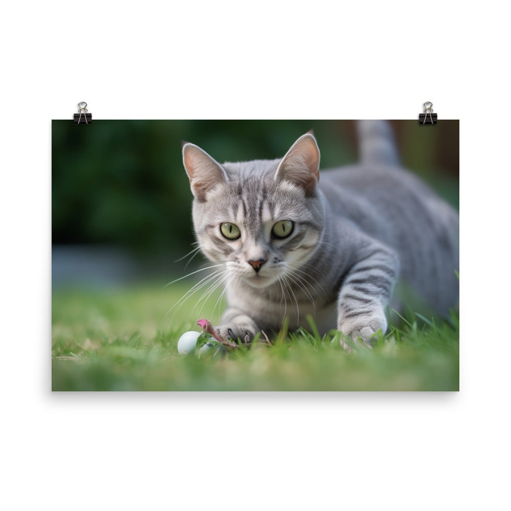 Adorable American Shorthair playing with toy mouse photo paper poster - Posterfy.AI