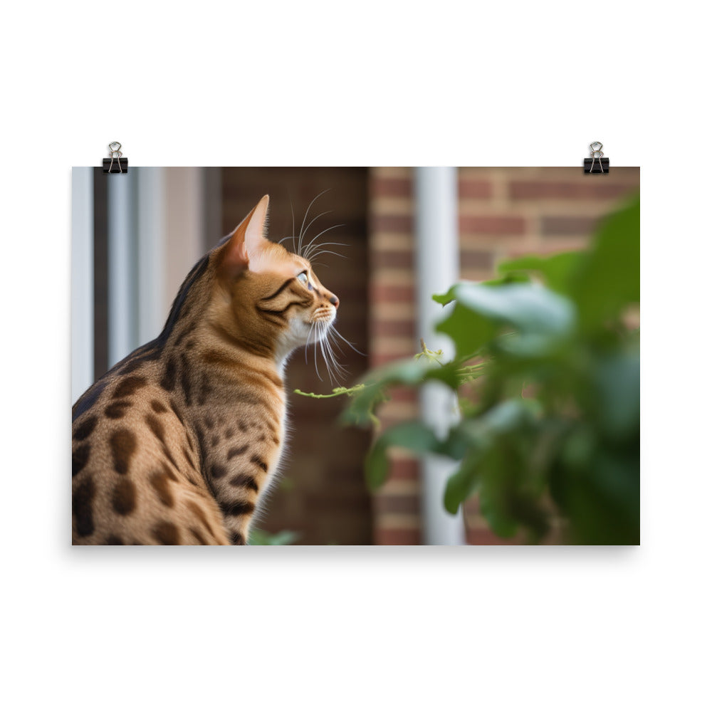 Curious Bengal Cat Watching Bird Outside photo paper poster - Posterfy.AI