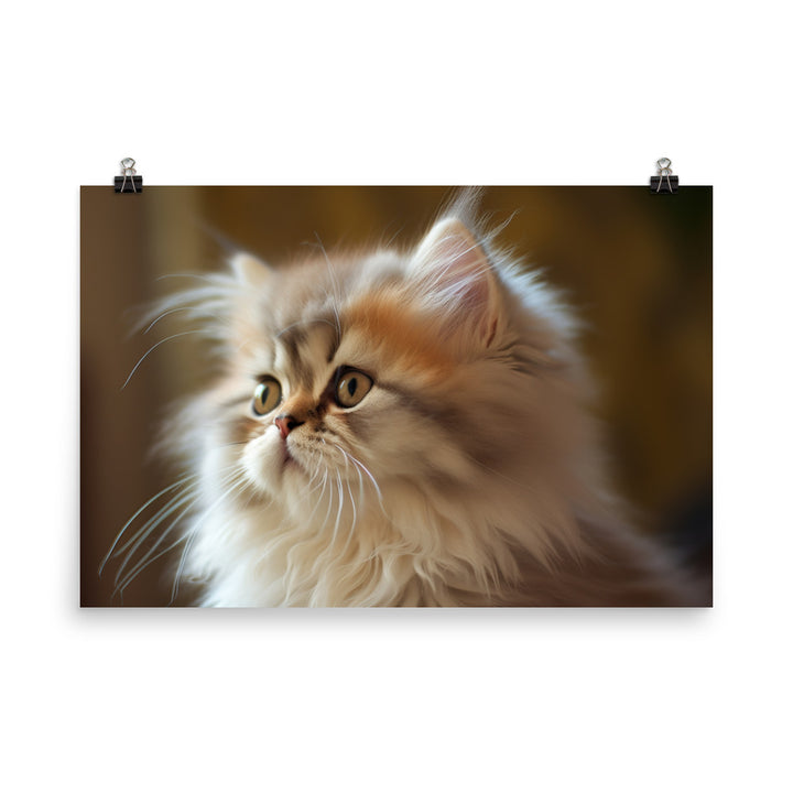 Fluffy Persian Kitten photo paper poster - Posterfy.AI