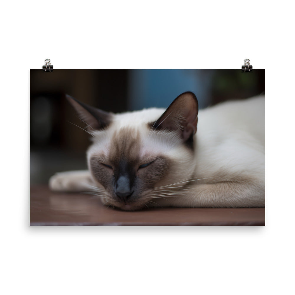 Sleepy Siamese Taking a Nap photo paper poster - Posterfy.AI