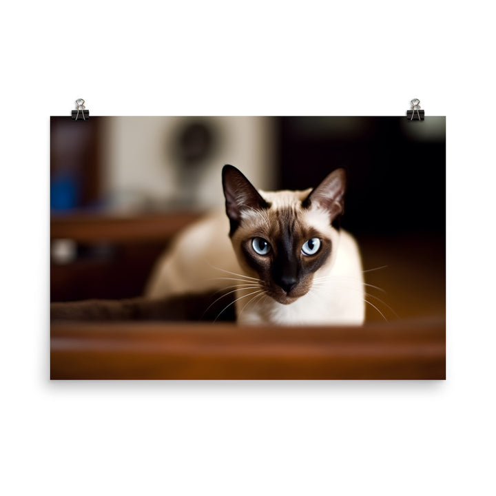 Curious Siamese Examining the Room photo paper poster - Posterfy.AI