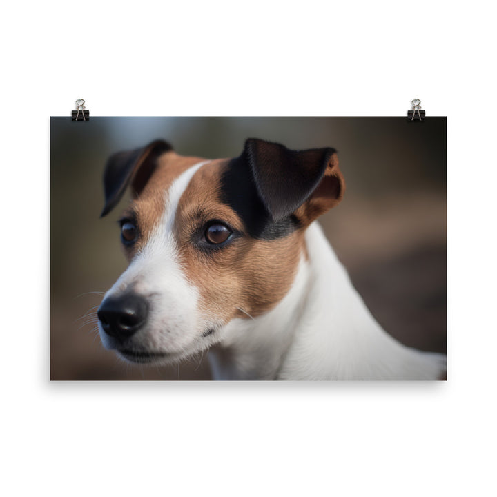 Jack Russell Terriers Inquisitive Stare photo paper poster - Posterfy.AI