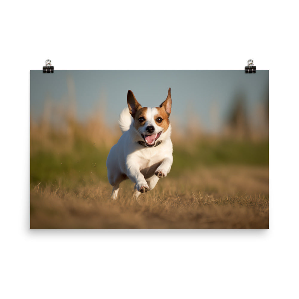 Jack Russell Terriers Comical Expression photo paper poster - Posterfy.AI