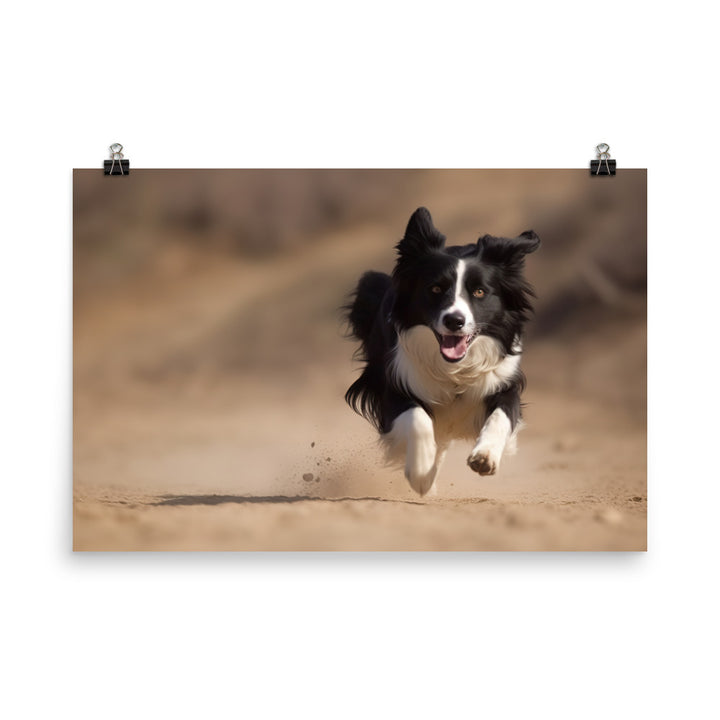 Energetic Border Collie in Action photo paper poster - Posterfy.AI