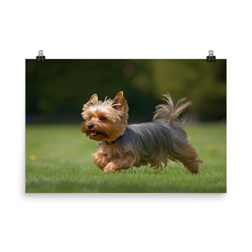 Yorkshire Terrier on the Go photo paper poster - Posterfy.AI