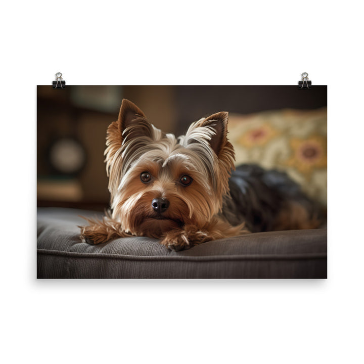 Yorkie at Home photo paper poster - Posterfy.AI