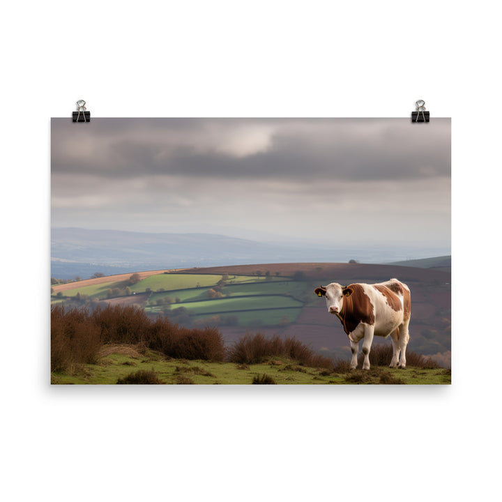 Hereford Cow gazing into the distance photo paper poster - Posterfy.AI