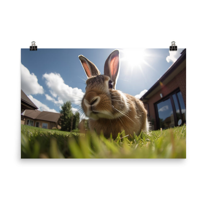 Flemish Giant Rabbit Outdoors photo paper poster - Posterfy.AI