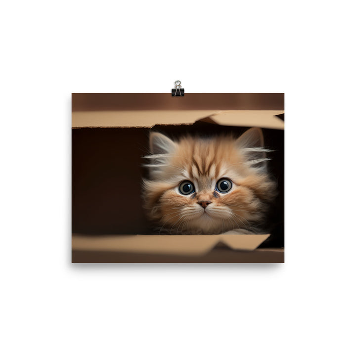 A fluffy kitten peering curiously out of a small cardboard box photo paper poster - Posterfy.AI