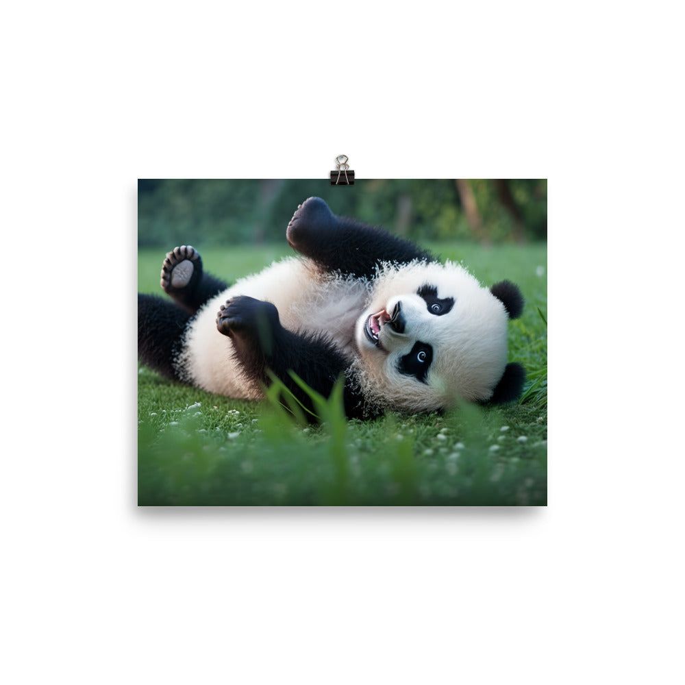 A playful panda bear rolling around in the grass photo paper poster - Posterfy.AI