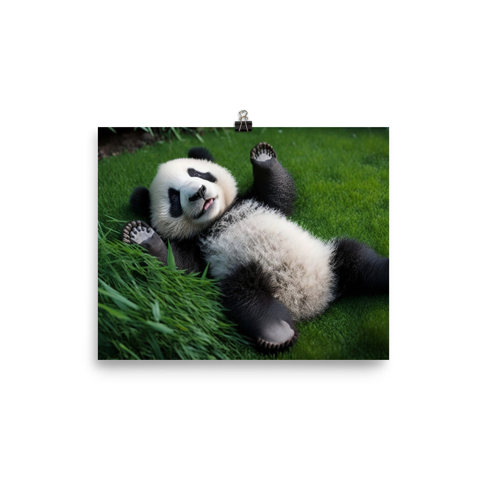 A playful panda bear rolling around in the grass photo paper poster - Posterfy.AI