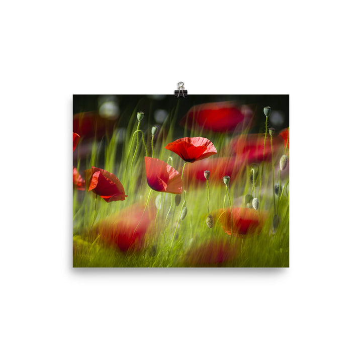 Artistic Poppy photo paper poster - Posterfy.AI