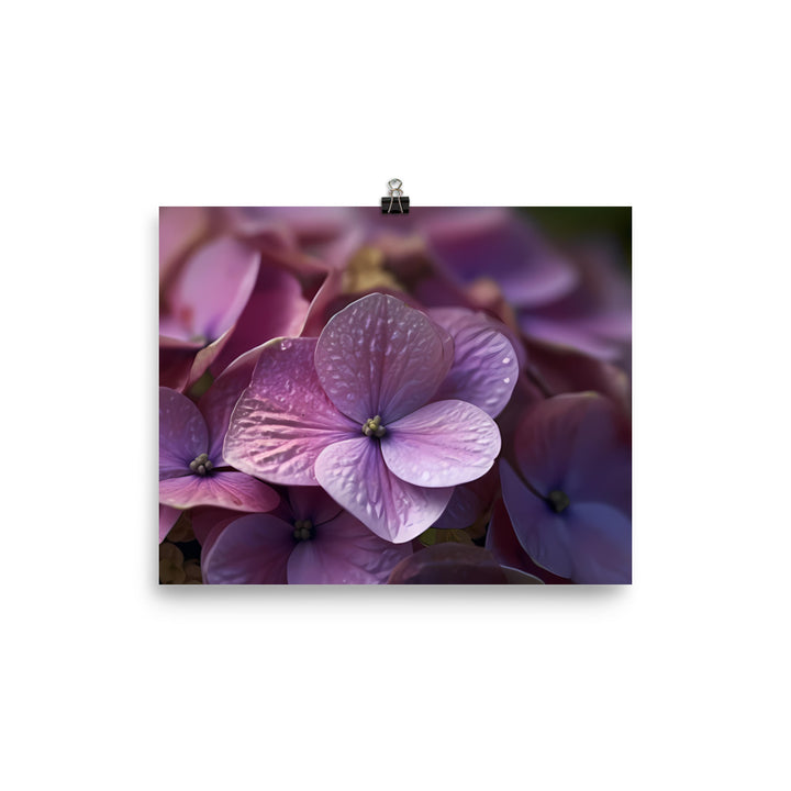 Hydrangea in Full Bloom photo paper poster - Posterfy.AI