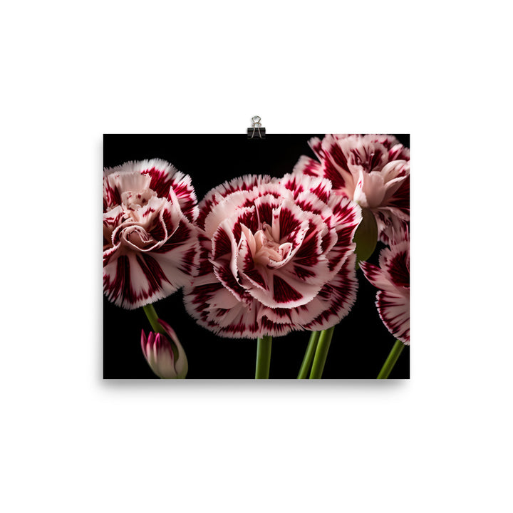 Unique Striped Carnations photo paper poster - Posterfy.AI