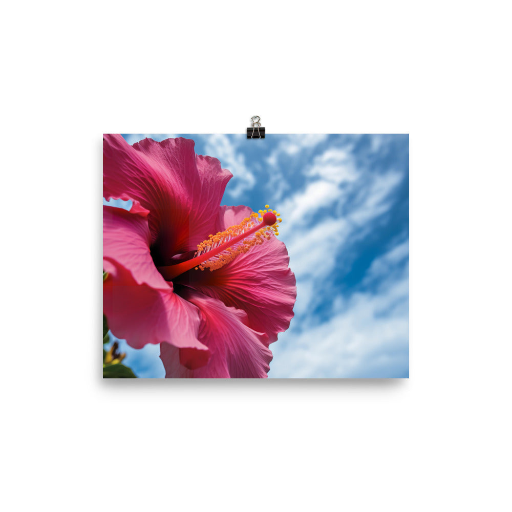 Hibiscus Flower Against a Blue Sky photo paper poster - Posterfy.AI