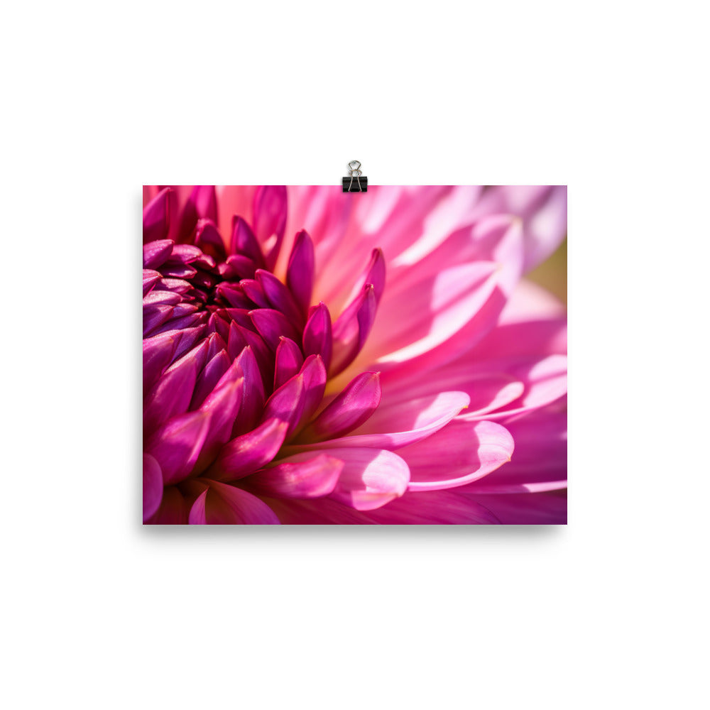 Vibrant Dahlia Under Sunlight photo paper poster - Posterfy.AI