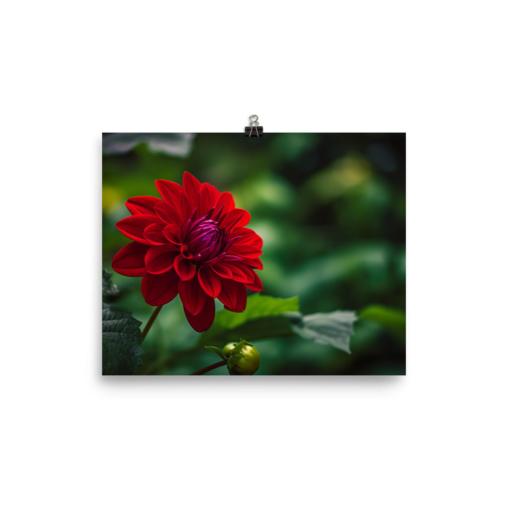 Crimson Dahlia in the Garden photo paper poster - Posterfy.AI