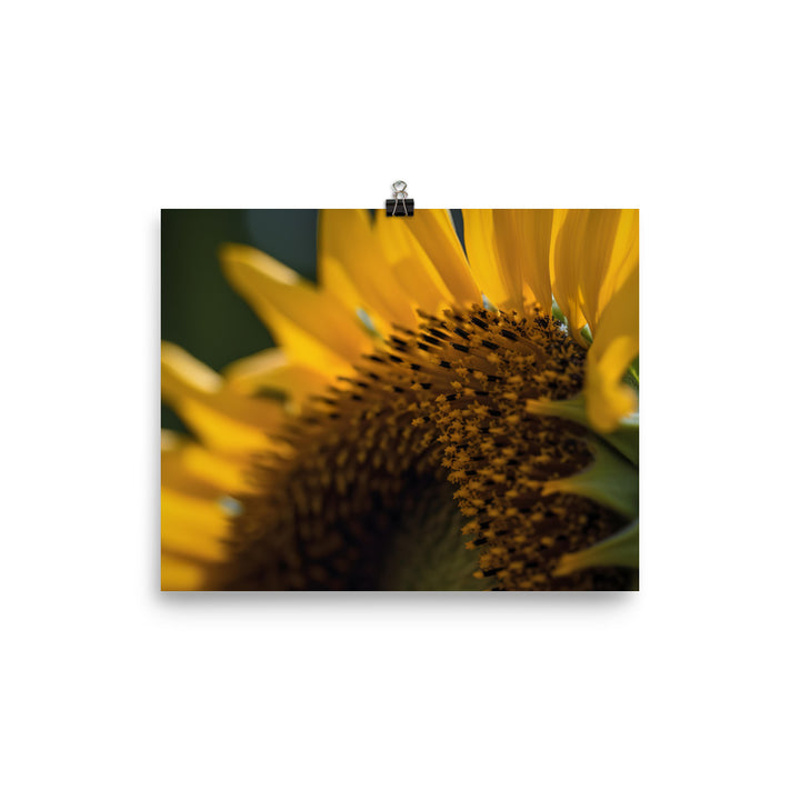 Up Close and Personal with Sunflowers photo paper poster - Posterfy.AI