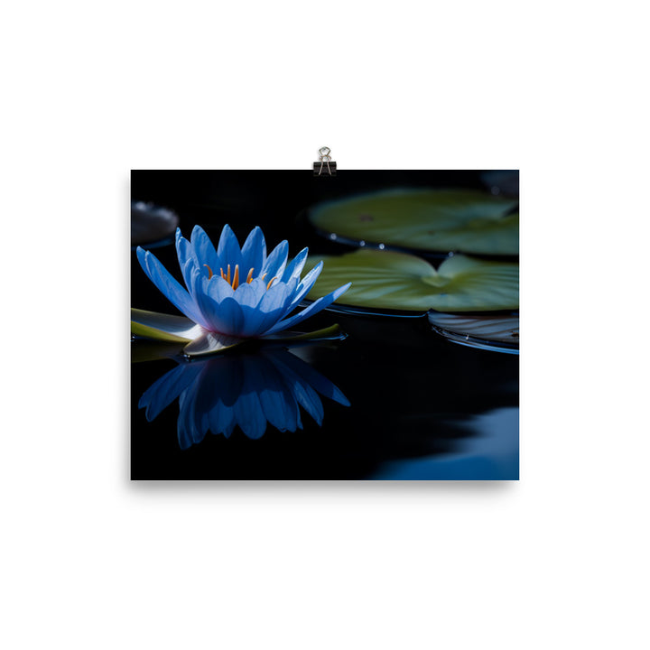 Blue Lily in the Pond photo paper poster - Posterfy.AI