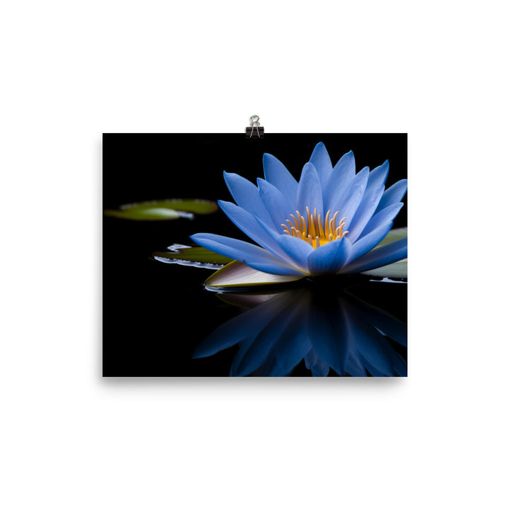 Blue Lily in the Pond photo paper poster - Posterfy.AI