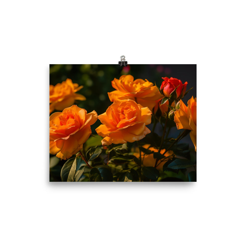 Romantic Peach Roses photo paper poster - Posterfy.AI