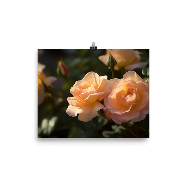 Lively Orange Roses photo paper poster - Posterfy.AI