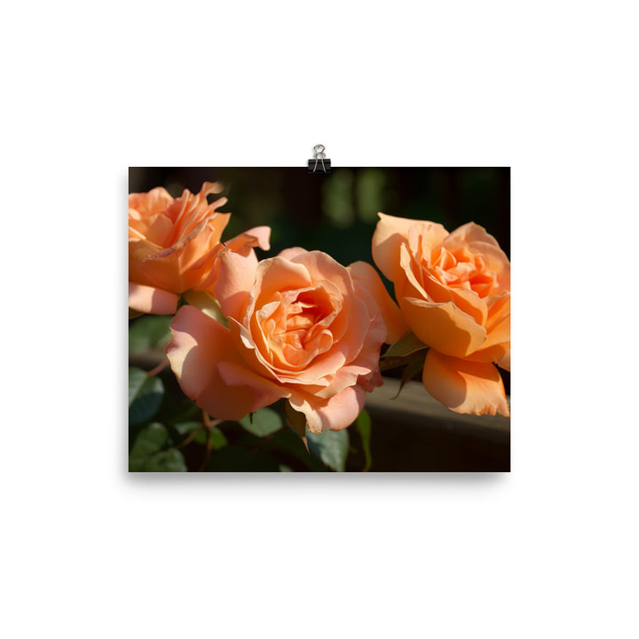 Lively Orange Roses photo paper poster - Posterfy.AI