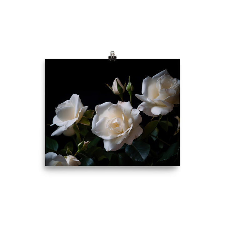 Classic White Roses photo paper poster - Posterfy.AI