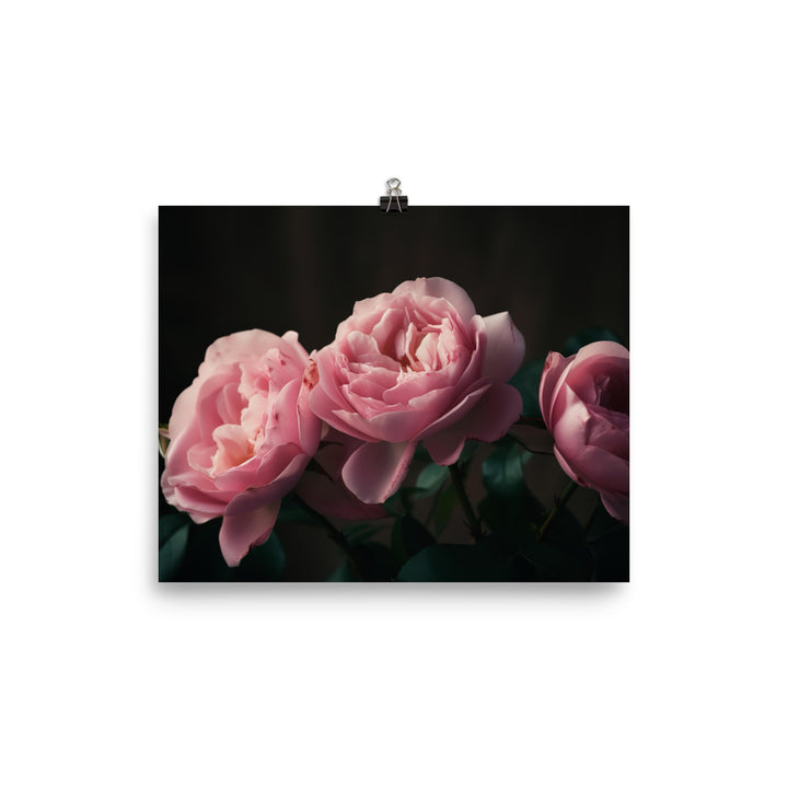 Blushing Pink Roses photo paper poster - Posterfy.AI