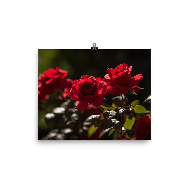 A Sea of Red Roses photo paper poster - Posterfy.AI