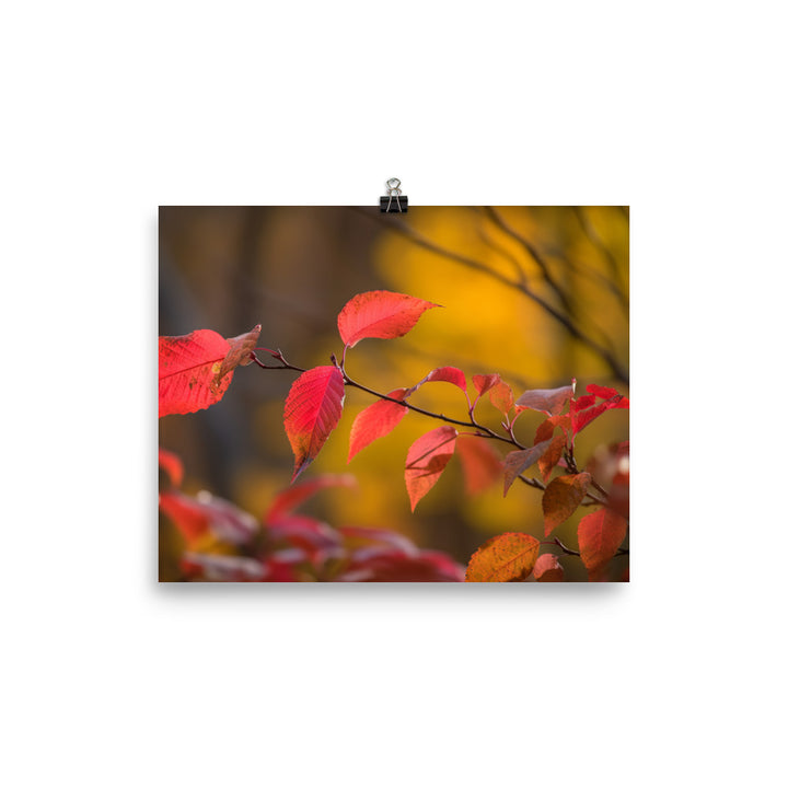 Vibrant Fall Foliage photo paper poster - Posterfy.AI