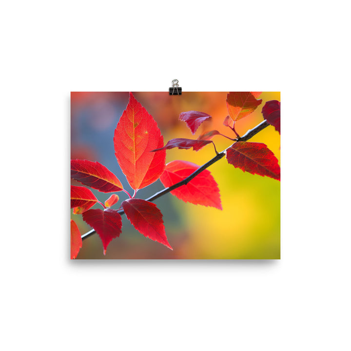 Vibrant Fall Foliage photo paper poster - Posterfy.AI