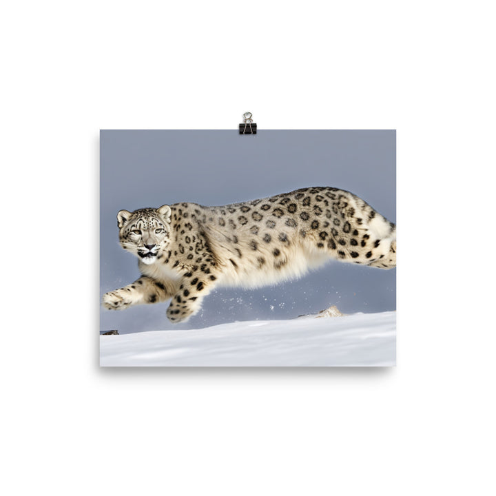 A Snow Leopard leaping through the air photo paper poster - Posterfy.AI