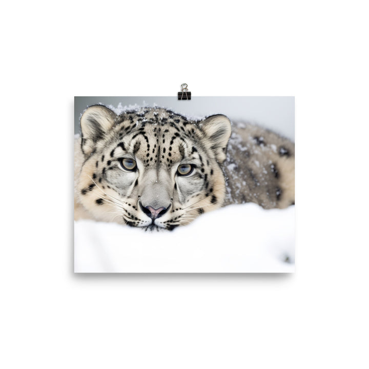 A Snow Leopard hiding in the snow photo paper poster - Posterfy.AI