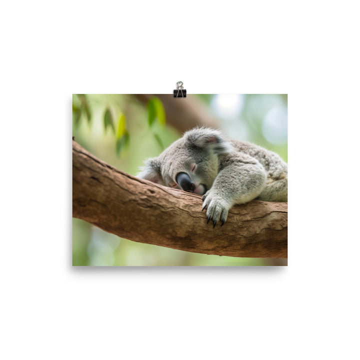 Koala Taking a Nap on a Tree Branch photo paper poster - Posterfy.AI