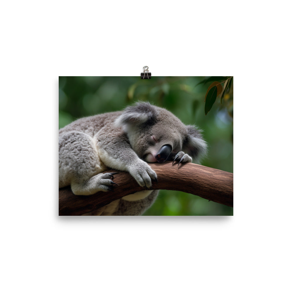 Koala Taking a Nap on a Tree Branch photo paper poster - Posterfy.AI