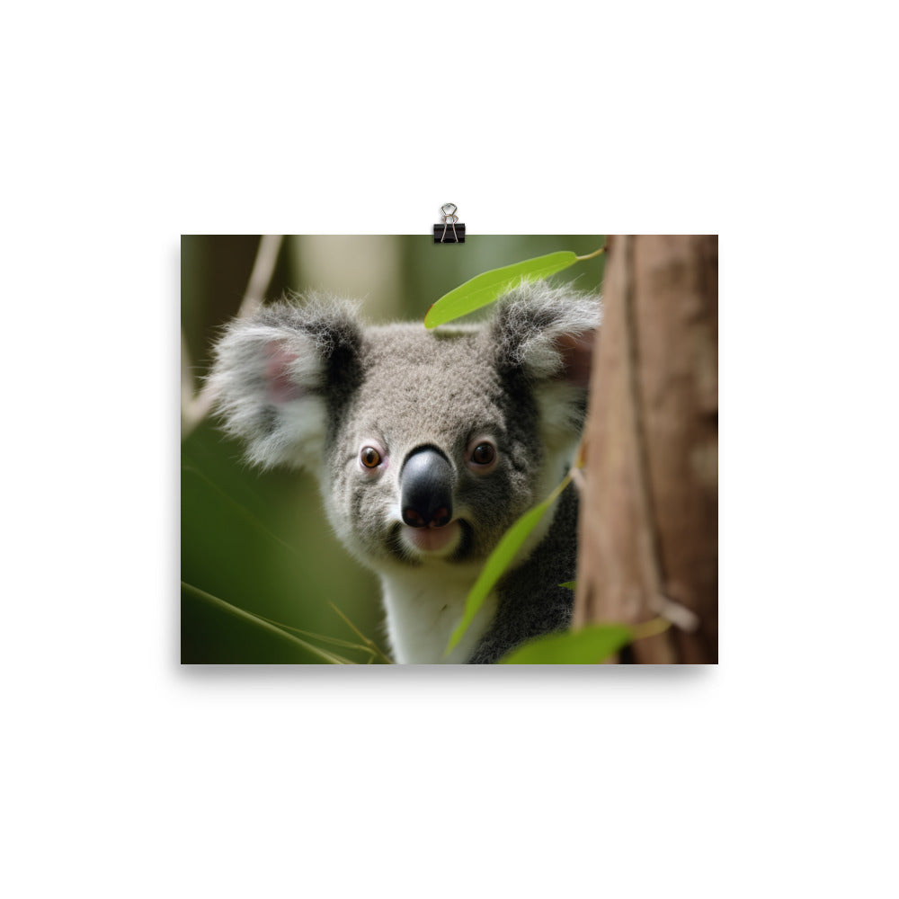 Adorable Koala Cub in the Eucalyptus Forest photo paper poster - Posterfy.AI